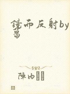 镜面反射by九葛