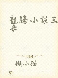 龙腾小说三宝局长