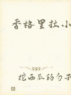 香格里拉小说封面