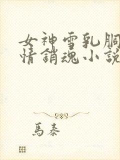 女神雪乳胴体激情销魂小说