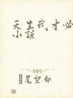 天生我才必有用小说