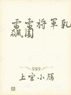 雷电将军乳液狂飙图封面