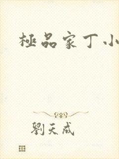 极品家丁小说封面