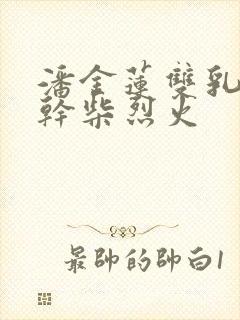 潘金莲双乳晃动干柴烈火