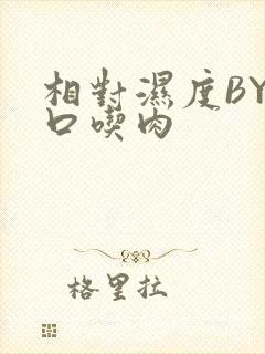 相对湿度BY大口吃肉