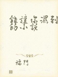 能让你湿到不行的小说