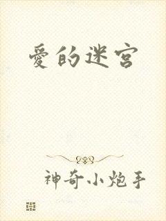 爱的迷宫