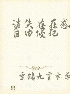 消失存在感消失自由侵犯