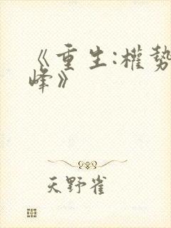 《重生:权势巅峰》