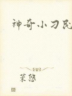 神奇小刁民