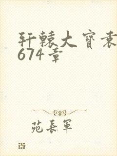 轩辕大宝袁雪妃674章