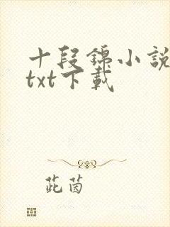 十段锦小说全本txt下载