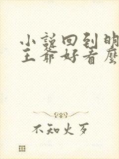 小说回到明朝当王爷好看么