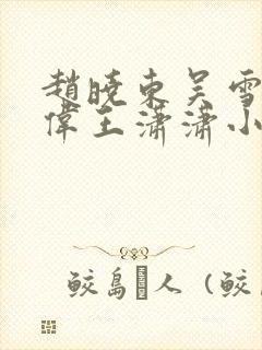 赵晓东吴雪晴郑伟王潇潇小说名字封面