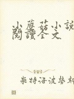 小蘑菇小说免费阅读全文