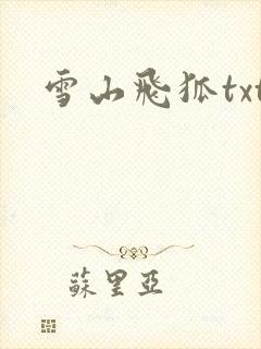 雪山飞狐txt