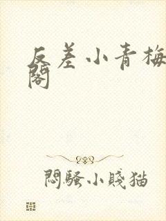 反差小青梅笔趣阁封面