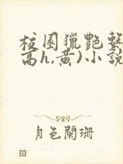 校园猎艳系列(高h,黄)小说