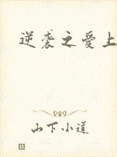 逆袭之爱上情敌封面