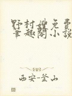 野村嫂免费阅读笔趣阁小说封面