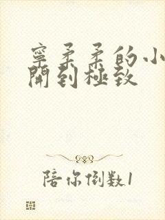 宁柔柔的小泬撑开到极致