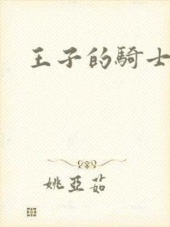 王子的骑士