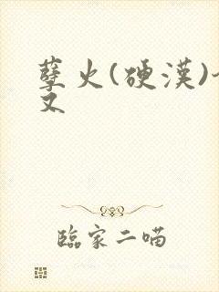 孽火(硬汉)今又封面