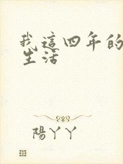 我这四年的奴隶生活封面
