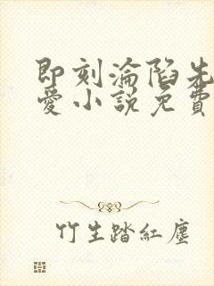 即刻沦陷先婚后爱小说免费阅读全文