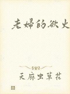 老妇的欲火封面