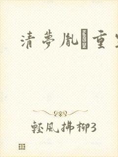 清梦胤礽重生