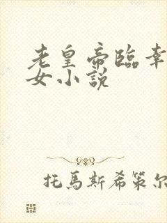 老皇帝临幸小御女小说封面