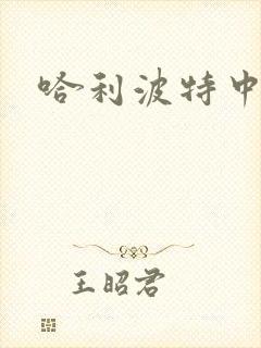 哈利波特中文版