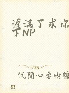 灌满了求你们停下NP