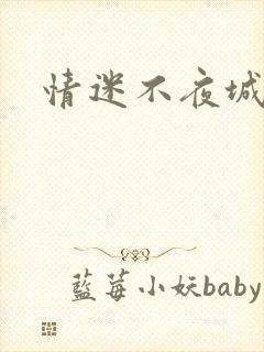情迷不夜城