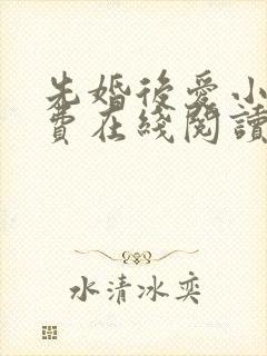 先婚后爱小说免费在线阅读