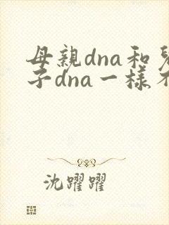 母亲dna和儿子dna一样不