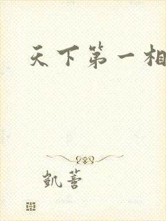 天下第一相书封面