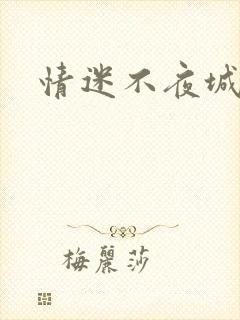 情迷不夜城