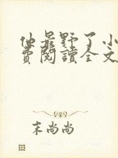 他最野了小说免费阅读全文