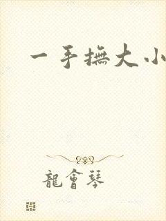 一手抚大小说