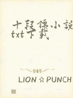 十段锦小说全本txt下载