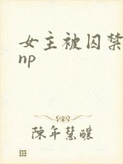 女主被囚禁高虐np封面