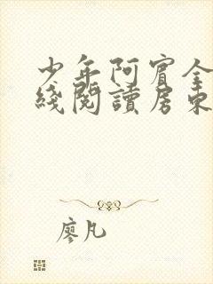 少年阿宾全文在线阅读房东太太封面