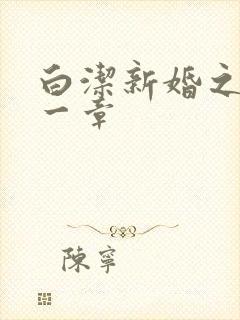 白洁新婚之夜第一章