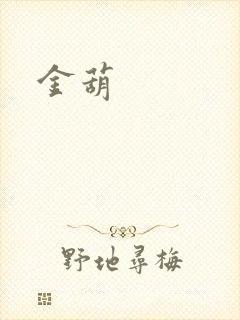 金葫封面