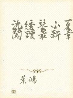 沈绣琴小夏全文阅读最新章节