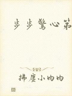 步步惊心第二部封面