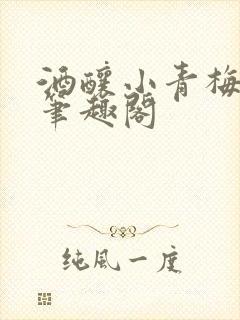 酒酿小青梅po笔趣阁