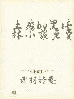 上瘾by黑暗森林小说免费